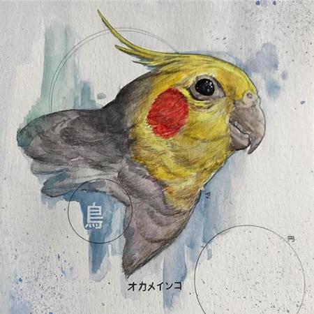 Jesse Carlton - Jesse Carlton Parakeet